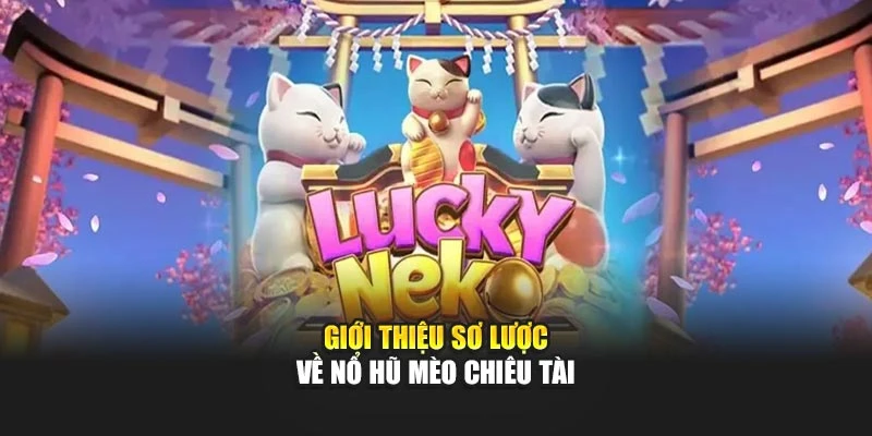 Giới thiệu sơ lược về nổ hũ Mèo Chiêu Tài