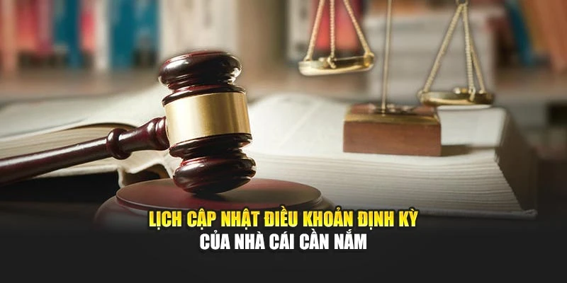 Lịch cập nhật điều khoản định kỳ của nhà cái cần nắm