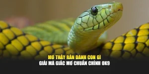 Mơ Thấy Rắn Đánh Con Gì - Giải Mã Giấc Mơ Chuẩn Chỉnh OK9