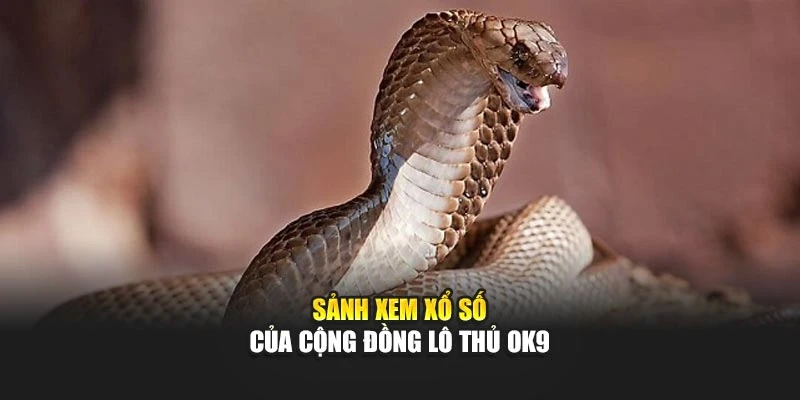 Sảnh xem xổ số của cộng đồng lô thủ