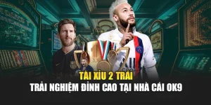 Tài Xỉu 2 Trái - Trải Nghiệm Đỉnh Cao Tại Nhà Cái OK9