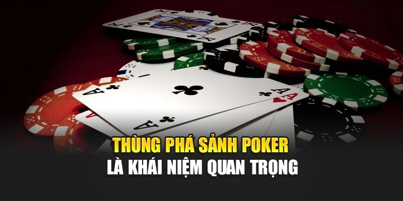 Thùng phá sảnh Poker là khái niệm quan trọng