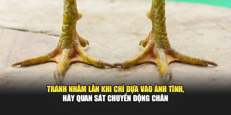 OK9 khuyên người chơi không nên dựa vào ảnh tĩnh, hãy quan sát chuyển động chân
